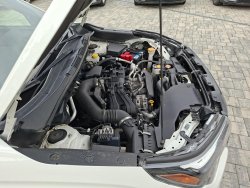 Subaru Forester, 2,5 SPORT 4x4,nový model, kůže